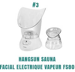 Hangsun Sauna Facial Electrique Vapeur FS80