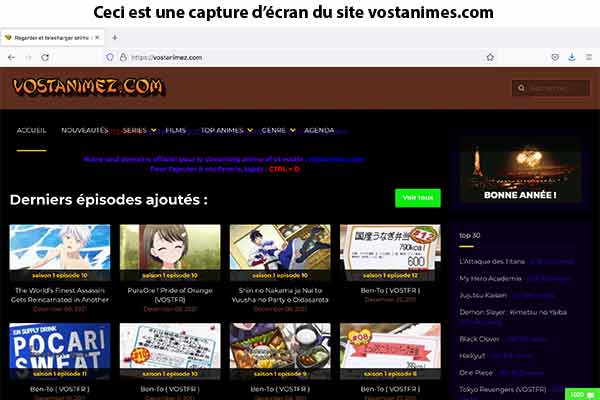 Site web Vostanimes