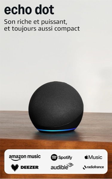 Enceinte connectée ronde Echo Dot anthracite